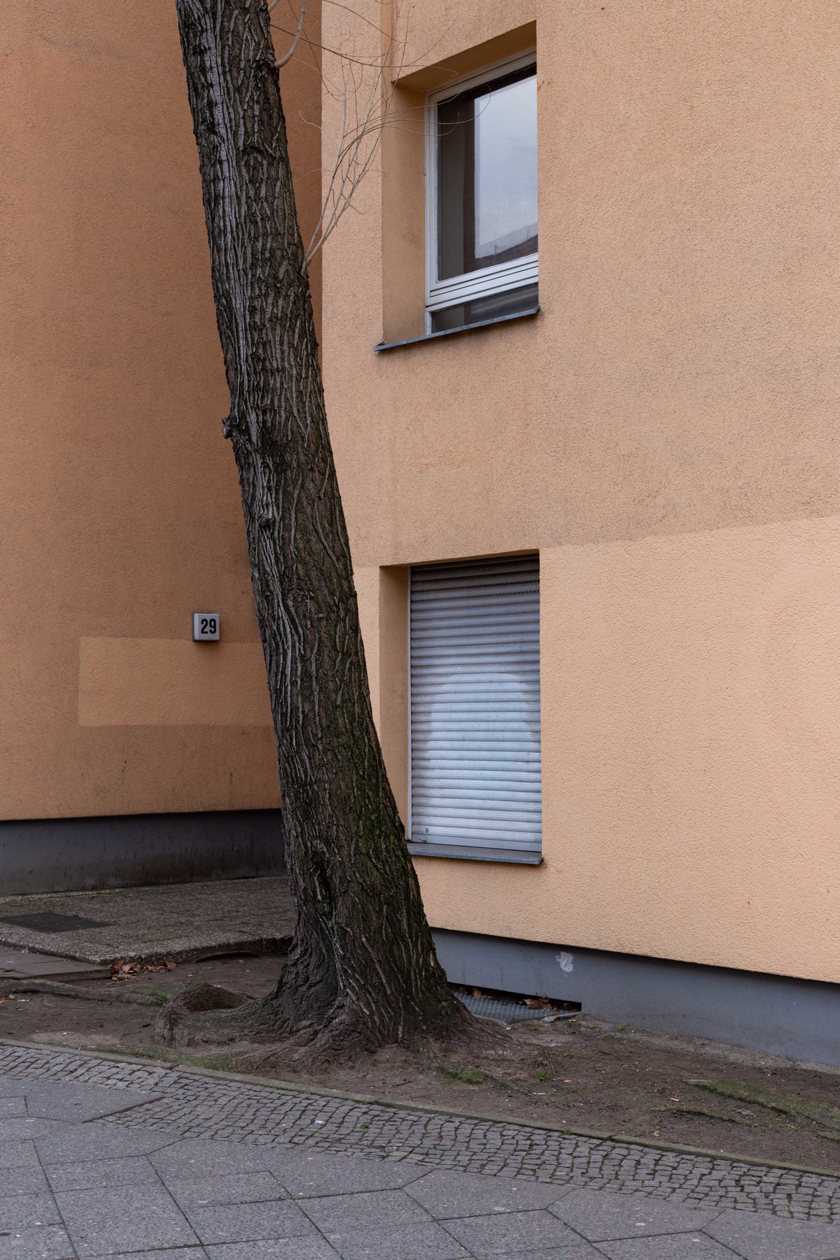 Kolorit_JennyHasselbach_IMG_2092_web