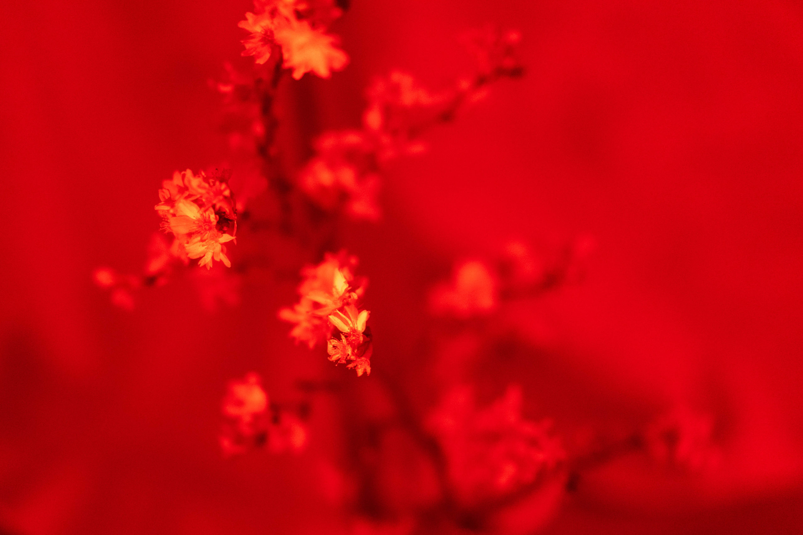 NWTMB_DSC03082_web