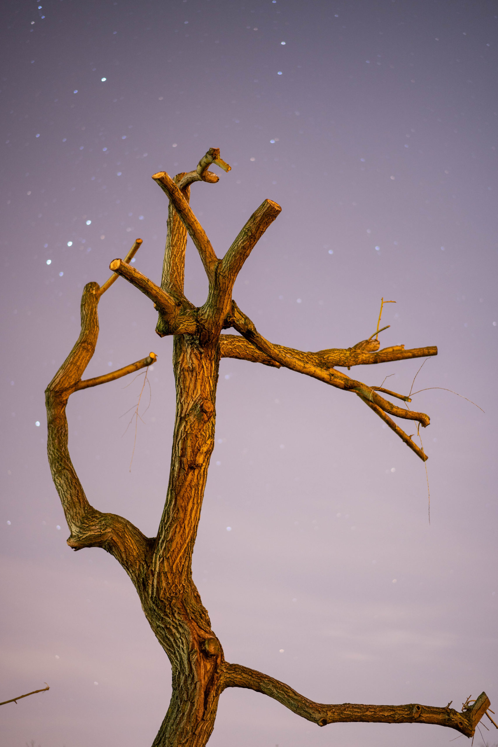 NWTMB_DSC04029_web