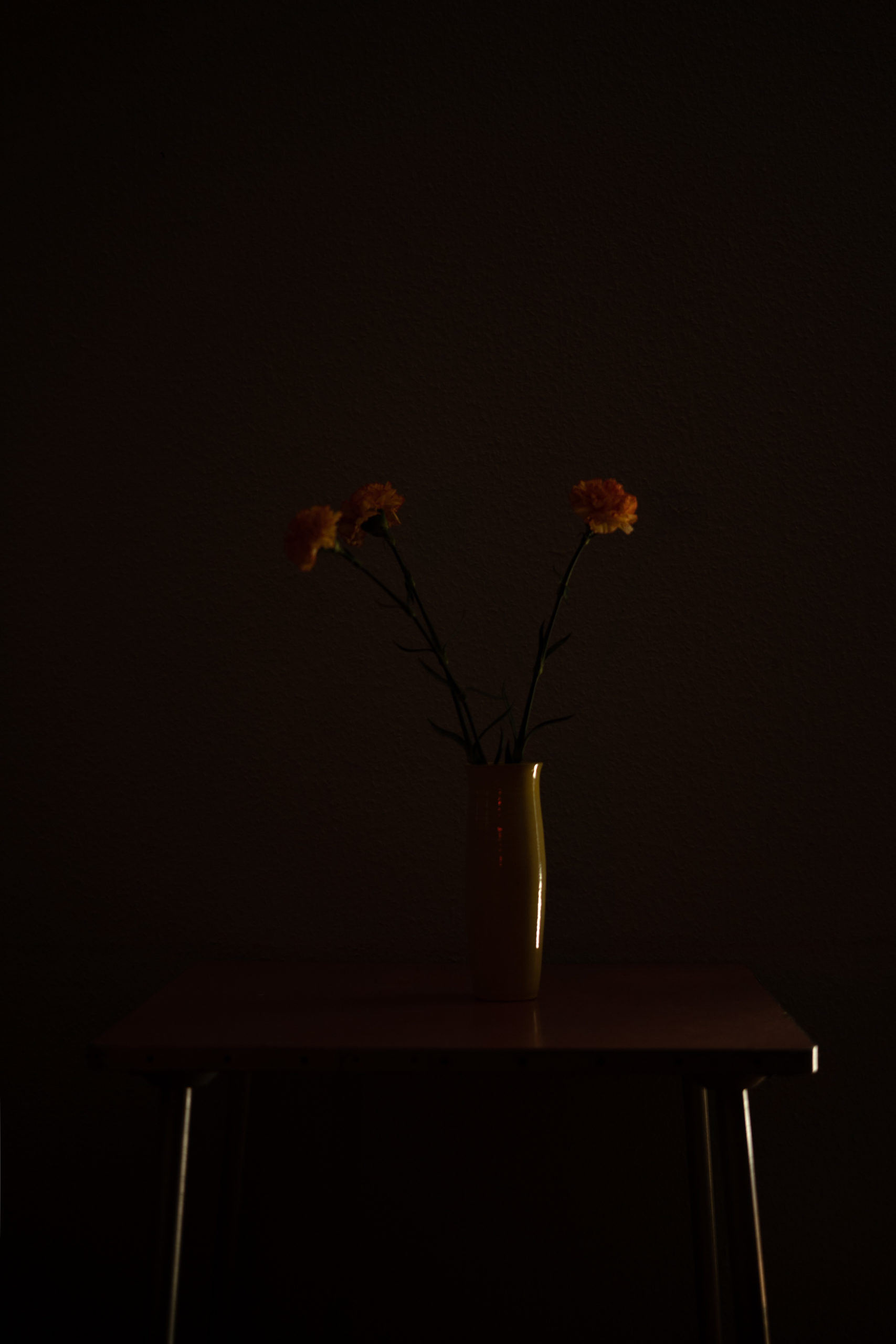 NWTMB_DSC04157_web