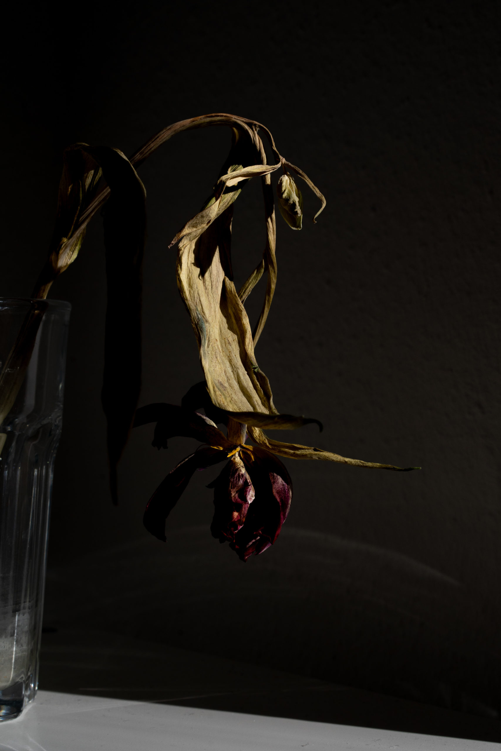 NWTMB_DSC05037_web
