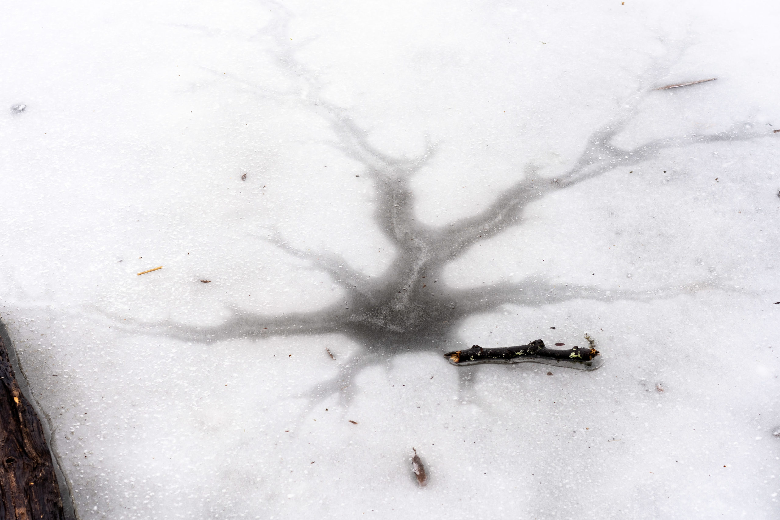NWTMB_DSC06105_web_1
