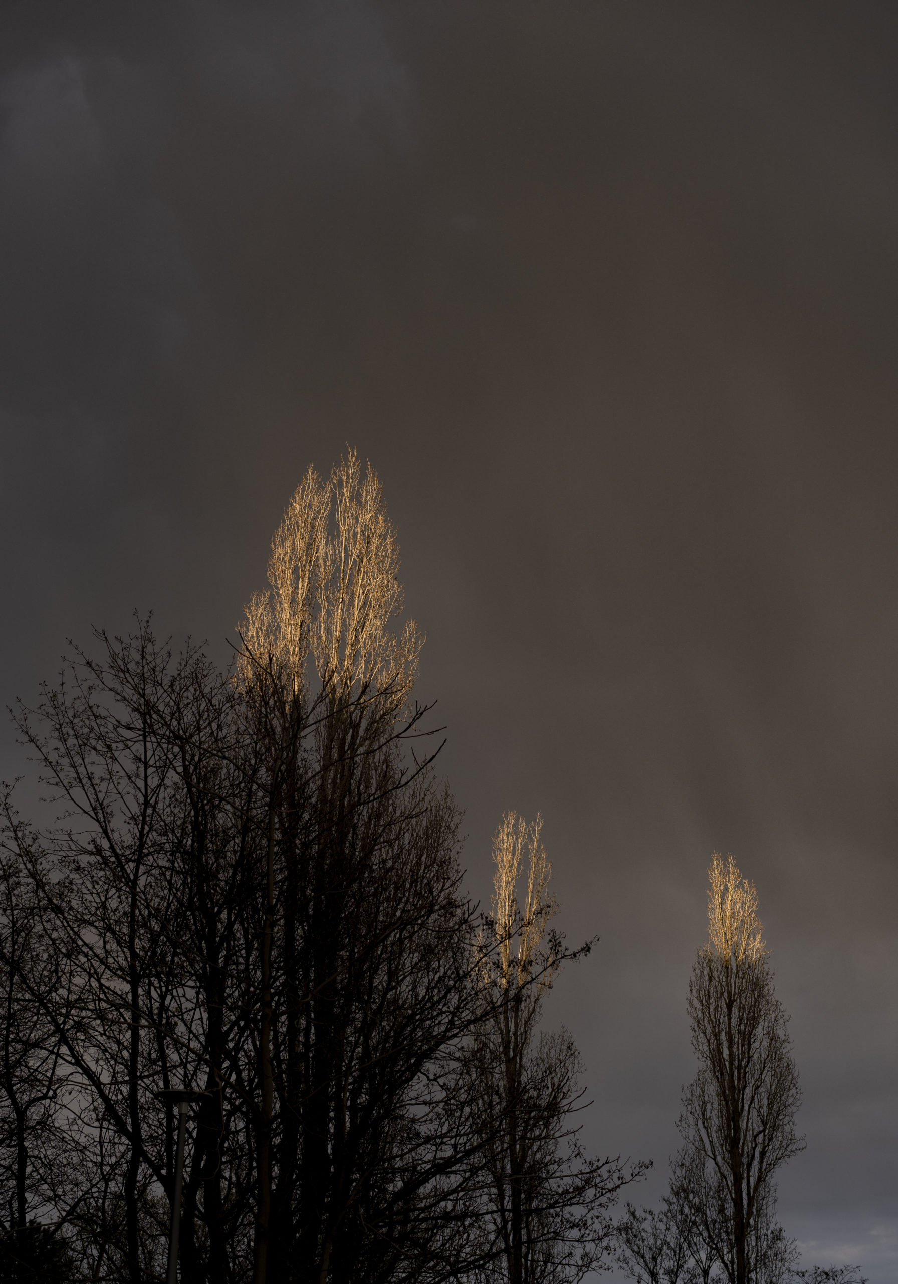 OIMACTTA_DSC09022_web