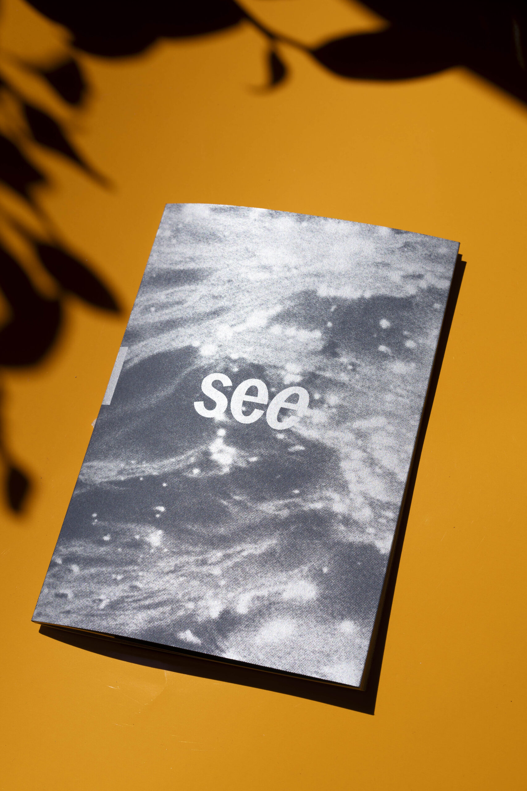 Seek and See