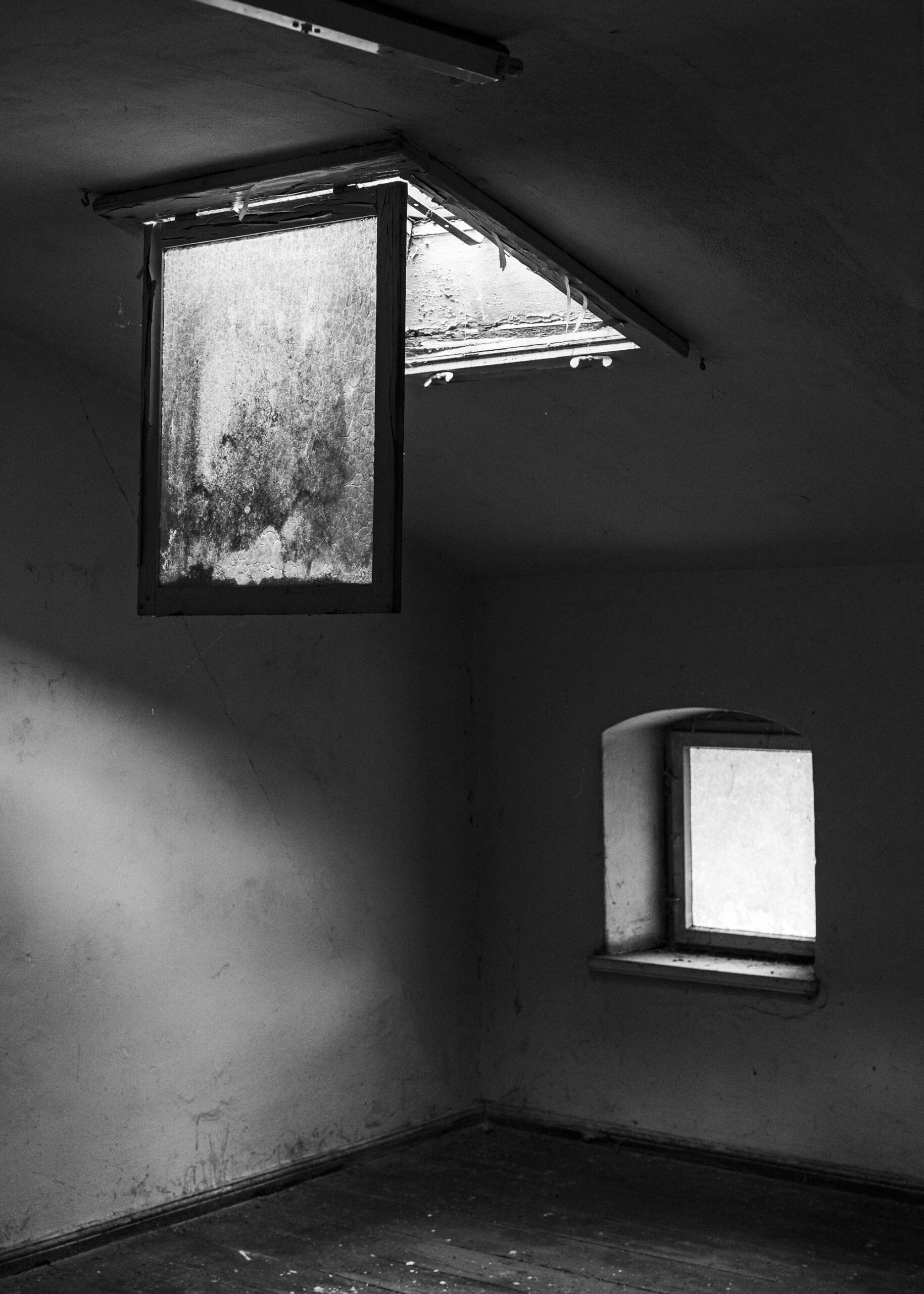 JennyHasselbach_DSC06626