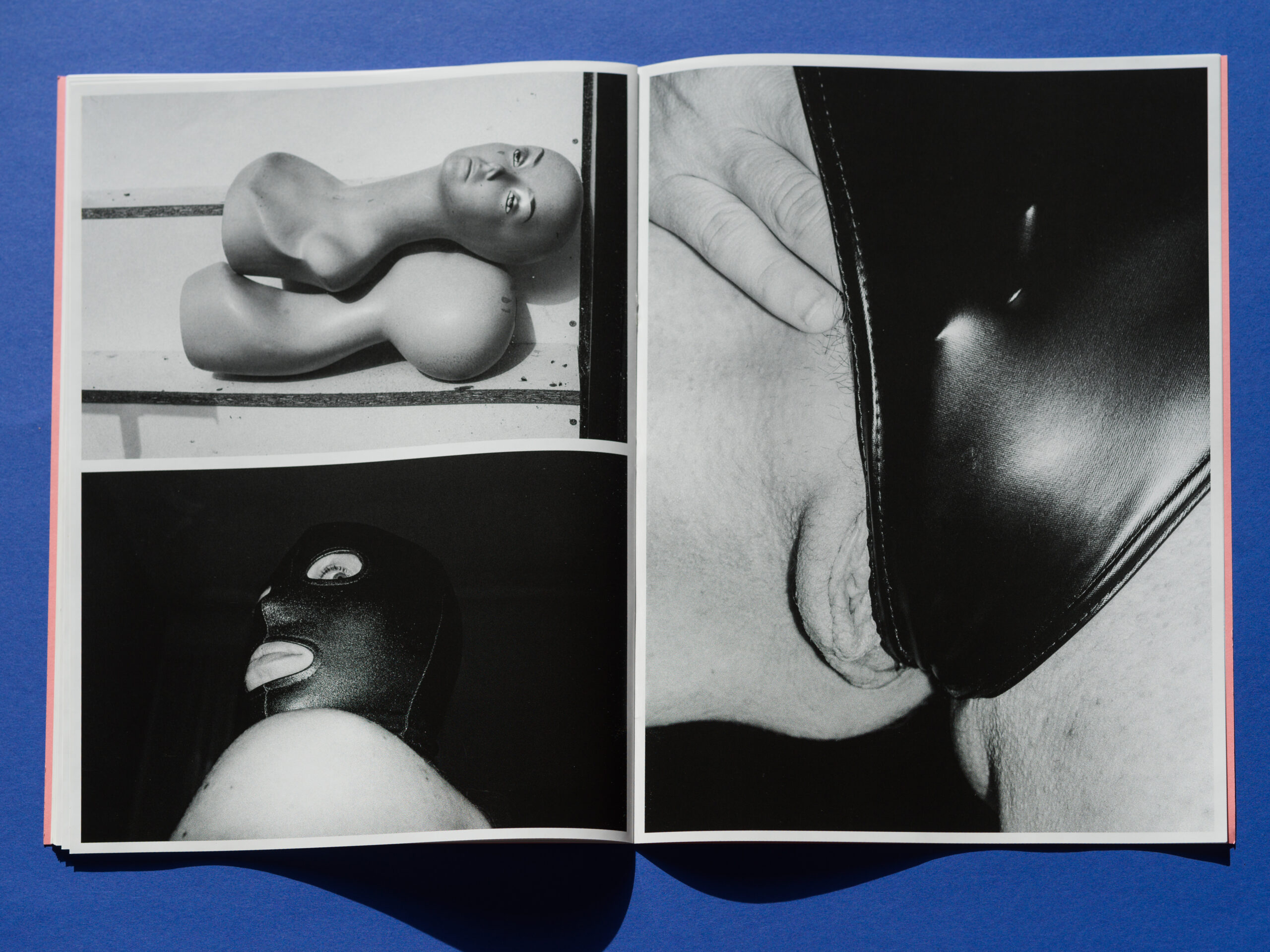 RUBBERwebB0010097