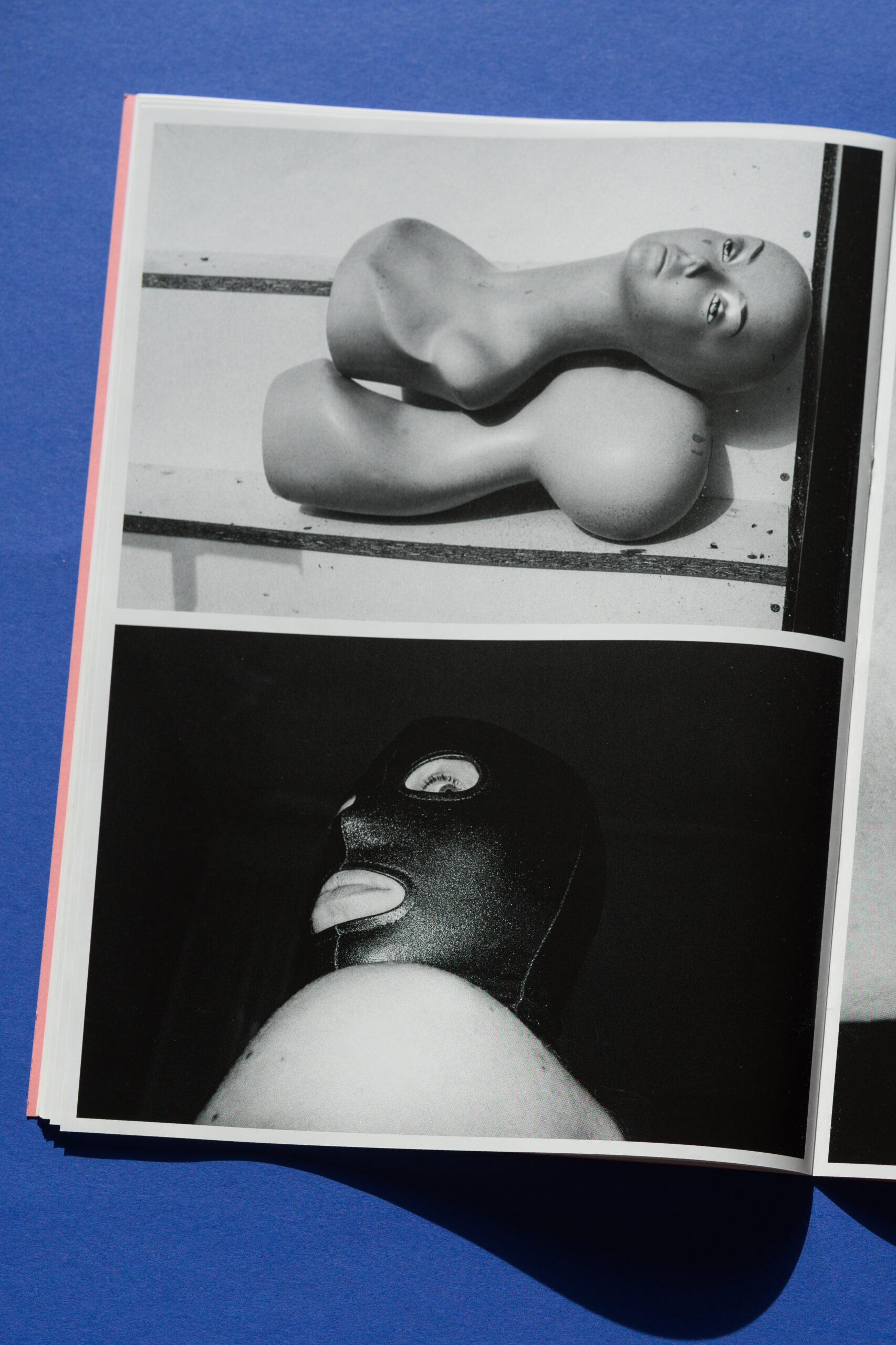 Rubber Cell